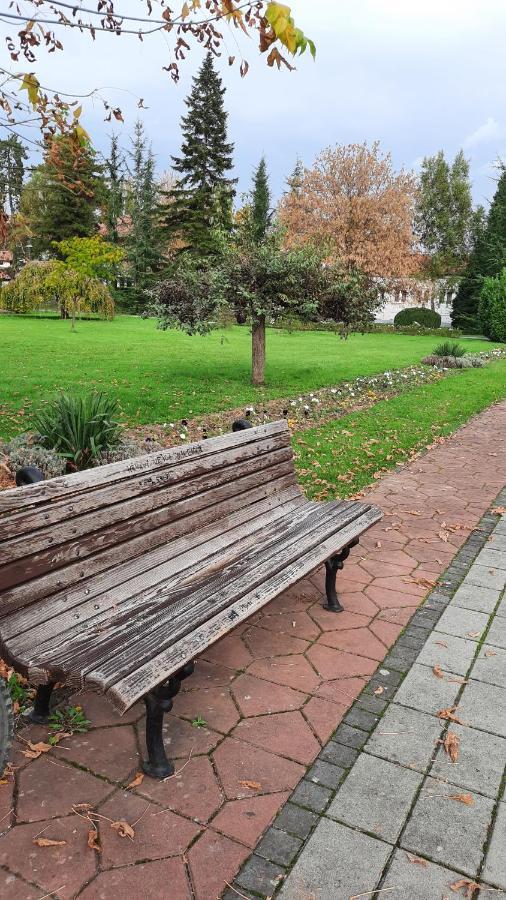 Apartman Mila, Banja Koviljača Екстериор снимка