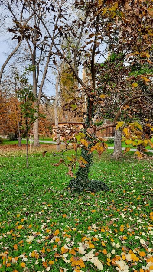 Apartman Mila, Banja Koviljača Екстериор снимка